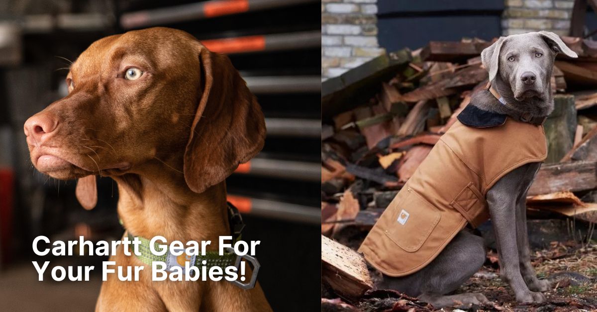 Carhartt gear for dogs hotsell