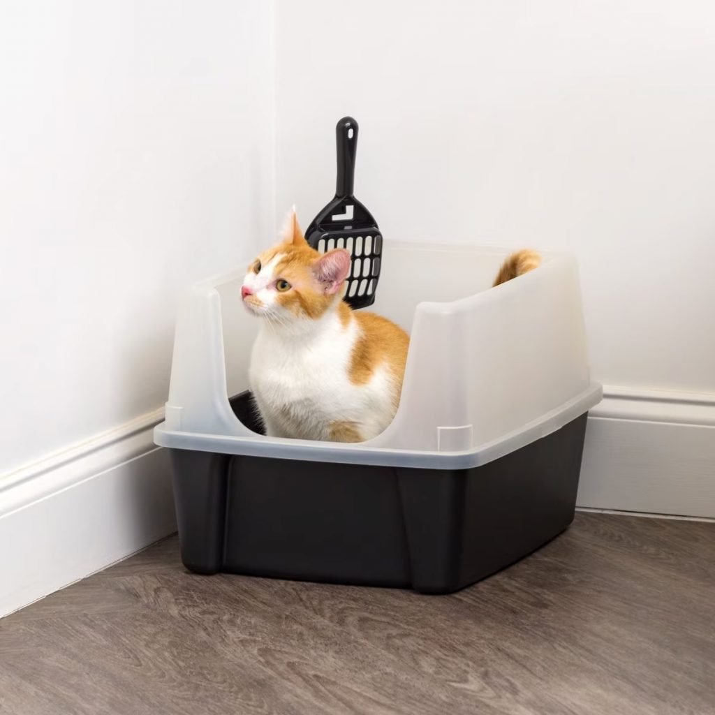 IRIS USA Open Top Litter Box with Scatter Shield & Scoop