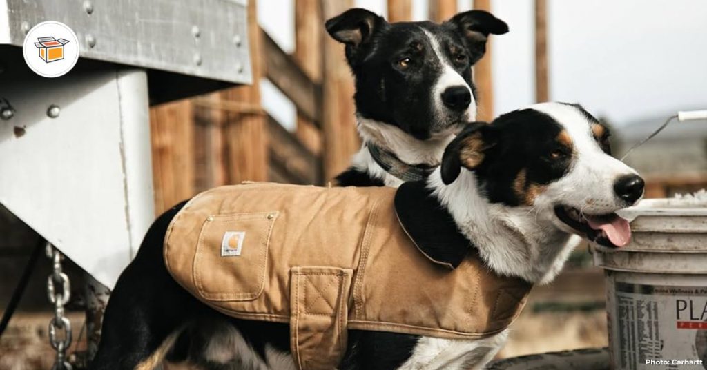 It's National Puppy Day! Shop 6 Carhartt Pet Gear and Accessories for Your Fur Babies!