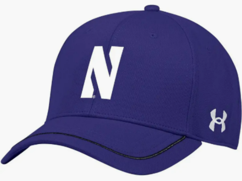 Under Armour Purple Northwestern Wildcats Cap